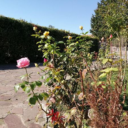 Villa Oasi San Giuliano Terme Eksteriør bilde