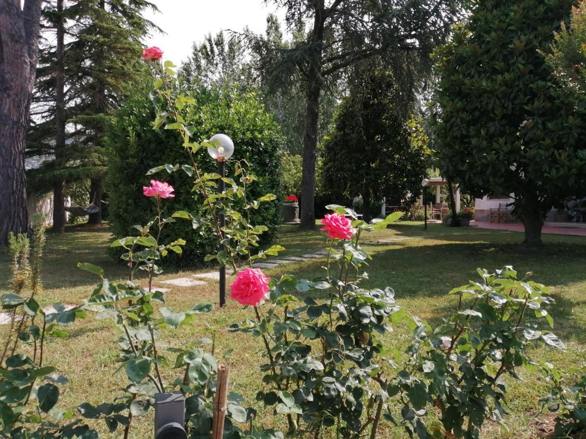 Villa Oasi San Giuliano Terme Eksteriør bilde