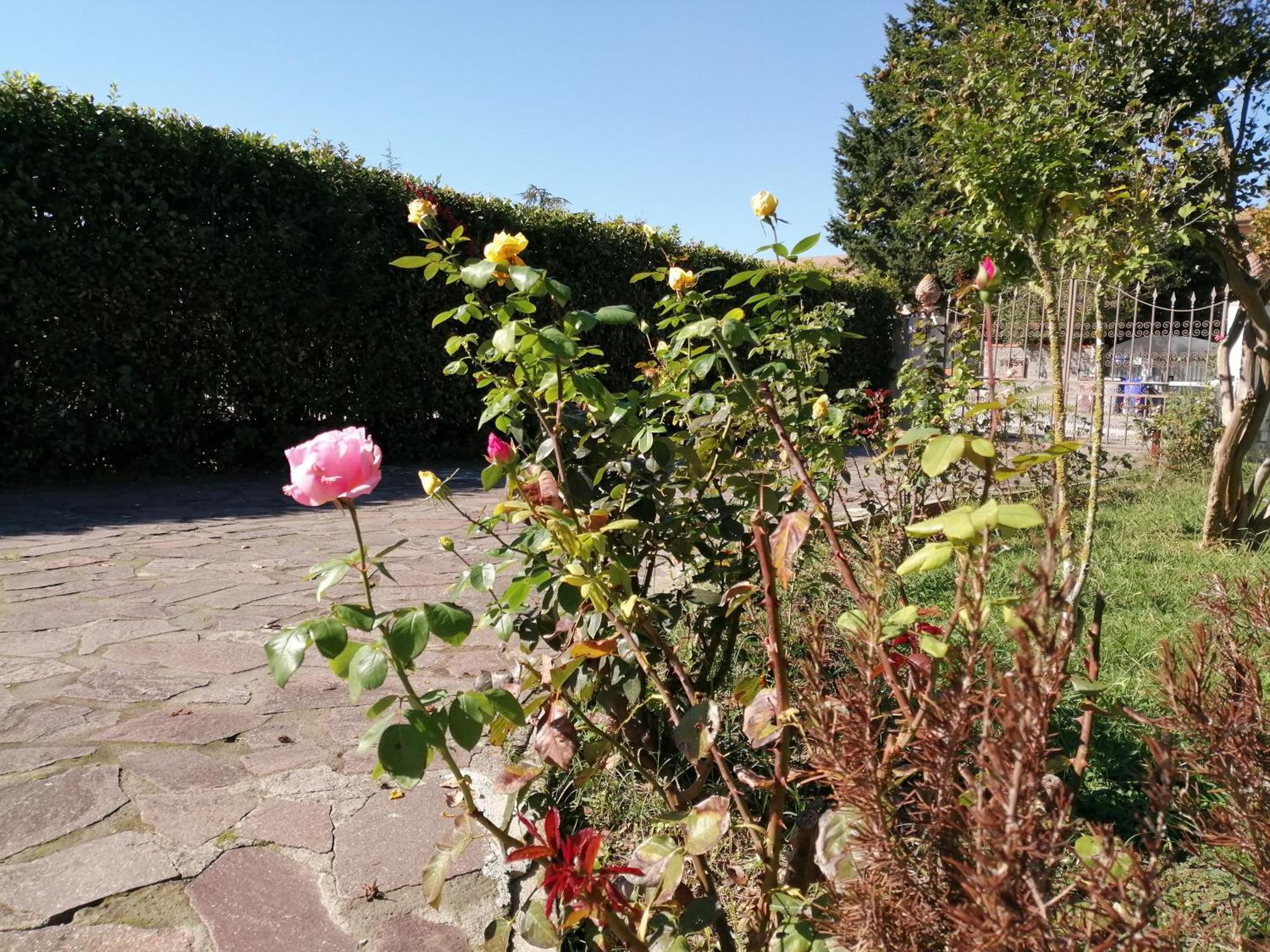 Villa Oasi San Giuliano Terme Eksteriør bilde